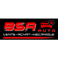 BSA Auto Inc