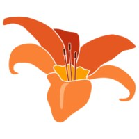Orange Lily Group