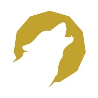 Anishnawbe Business Professional Association (Northern Ontario)