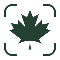 Maple Leaf Strategies