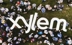 Xylem