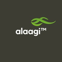 Alaagi