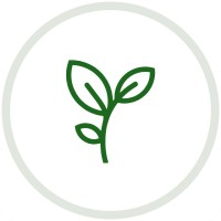 Vine Recruiting