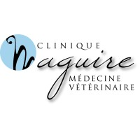 Clinique Maguire Medecine Veterinaire