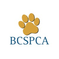 BC SPCA